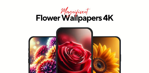 Screenshot of Flower Wallpapers Rose 4K - HD