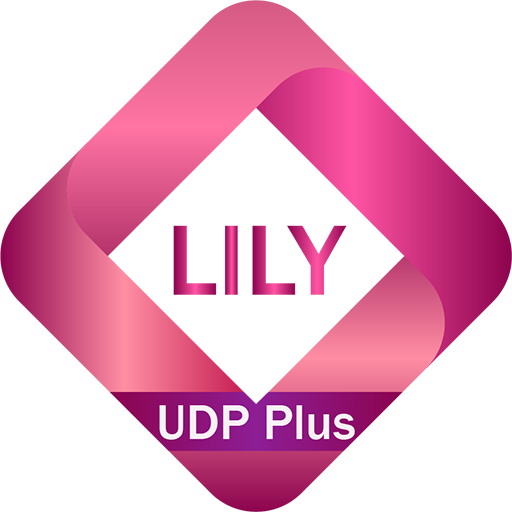 Lily UDP Plus - High Speed