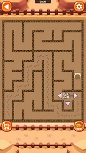 Maze Cat - Rookie