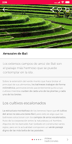 Captura de Pantalla 7 Guía de Bali de Civitatis android