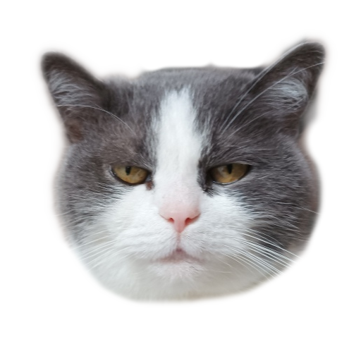 Selfie s Miou logo
