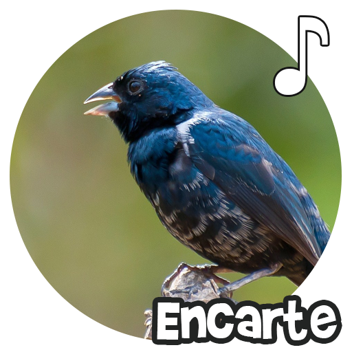 Tiziu Encarte logo