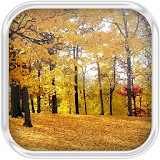 Autumn Water Effect LWP icon
