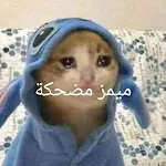 Cover Image of Télécharger ميمز مضحكة - funny memes  APK