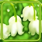 Cover Image of Download May Forest Lilies 1.2 APK