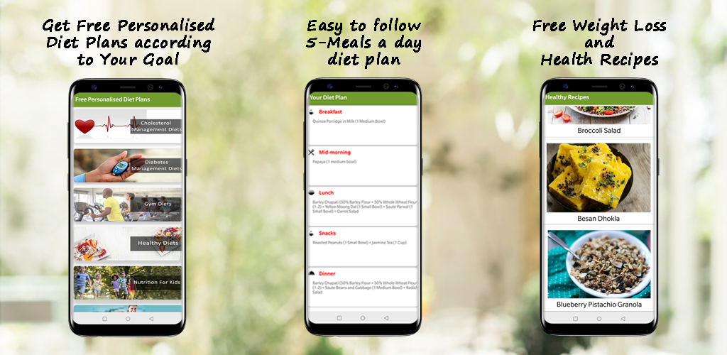 Vedique Diet -Dr Shikha NutriHealth Free Diet Plan ...