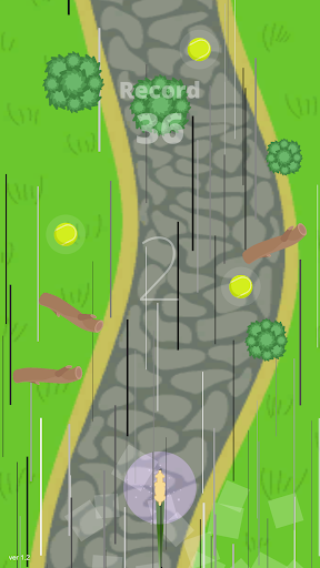 Labrador retriever – Cute puppies adventure