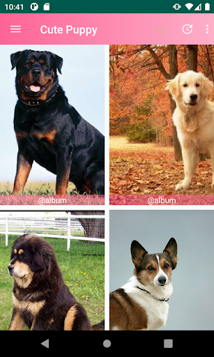 Android application Cute Puppy screenshort