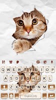 screenshot of Curious Cat Keyboard Backgroun