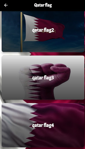 Flag of Qatar Screen 3