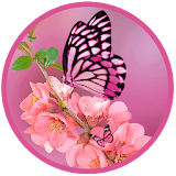 Romantic Pink Butterfly LWP icon