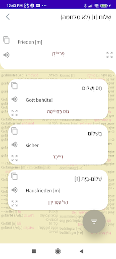 Hebrew-German Dictionary+ Screen 3