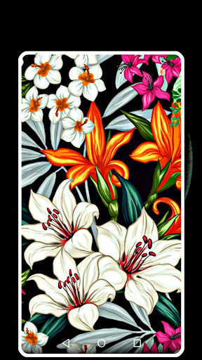 tropical leaves wallpaper HD