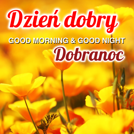 Polish Daily Wishes Messages logo