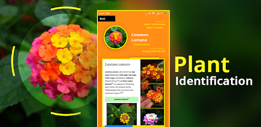 Plant Identifier