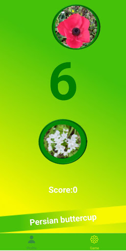 Android application flyflowersAI flowers and fun screenshort