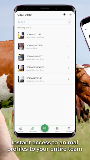 Stoktake Screen 2