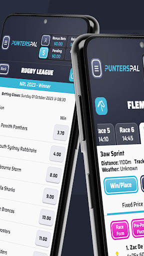 PuntersPal Screen 3