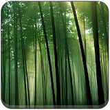 Bamboo Wallpapers Sakti icon