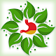 Anti Inflammatory Diet Plan And Recipes 7 Day Diet Download on Windows
