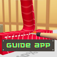 Guide App For Sushi Roll 3D 2021