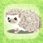 Cover Image of Download Hedgehog Pet  APK