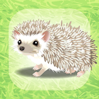 Hedgehog Pet 1.8