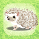 Hedgehog Pet