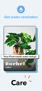Plant Story™
