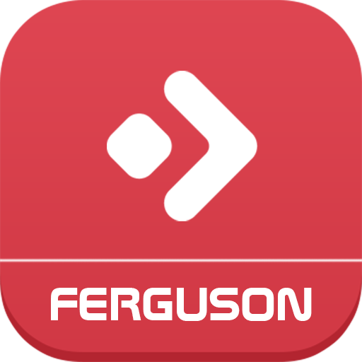 Ferguson smart cam  Icon