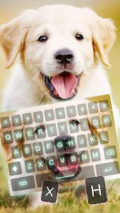 Cute Puppy Keyboard Theme