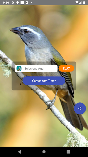Vista previa de la aplicación