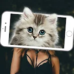 What Animal Scanner Face Prank