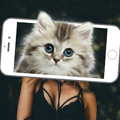 Icon image