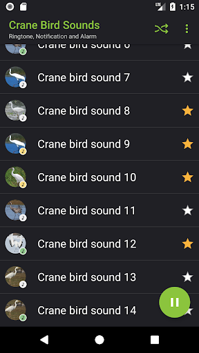Crane bird sounds Screen 3
