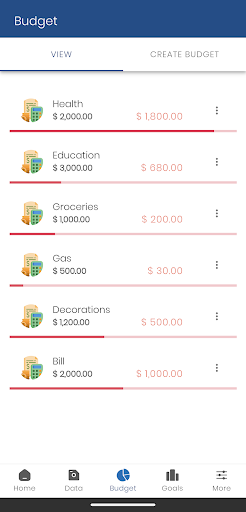 Money Companion Screen 3