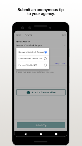 DENRP Tip Screen 2