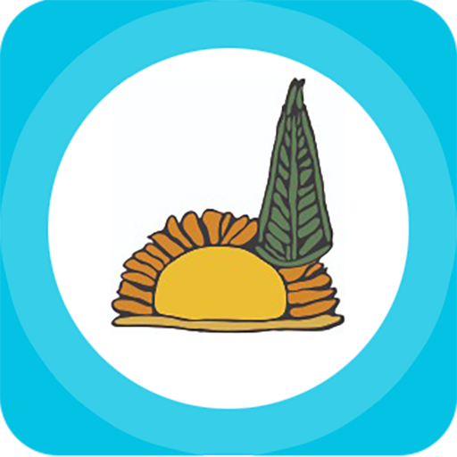 Birgi logo