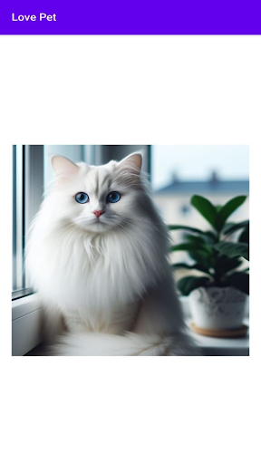 Love Pet Screen 3