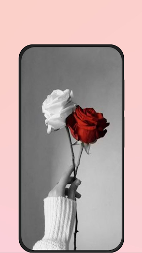 rose picture Screen 3