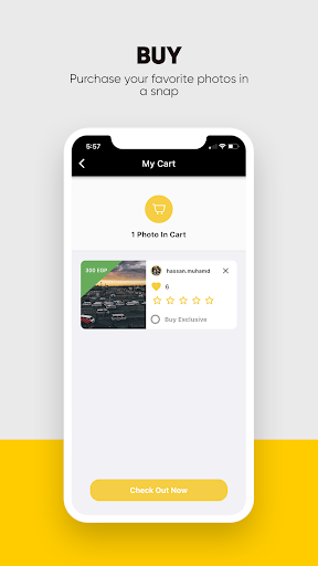 Phlog Image Buyers Screen 2