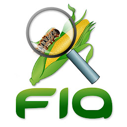 FIA: Download & Review