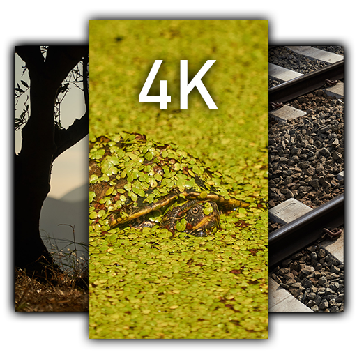 4K Photo Wallpapers logo