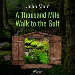 Obraz ikony: A Thousand Mile Walk to the Gulf