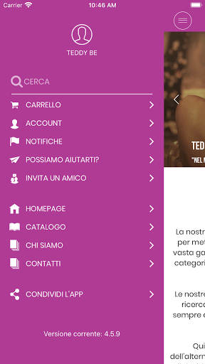 Teddy be Screen 2