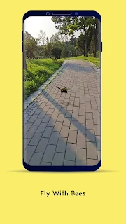 WildAR-AR For Lifelike Animals
