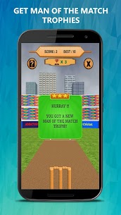 Bowled 3D – Cricket Game 5