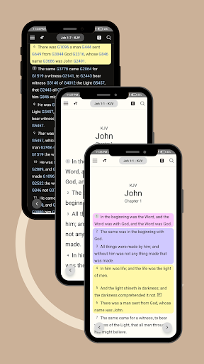 Bible Strong Offline KJV+ Screen 2