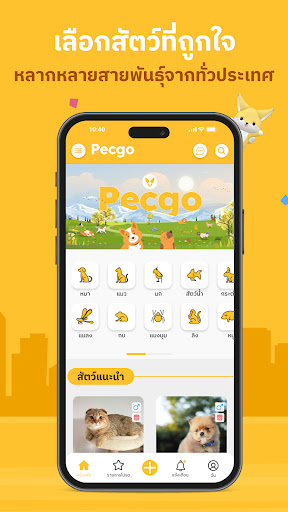 Pecgo Screen 2