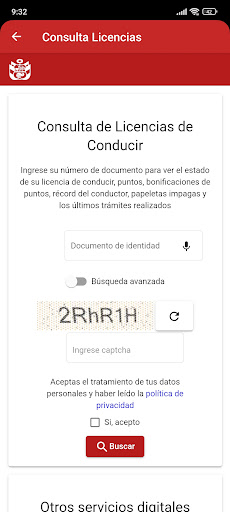 Consulta Licencias PE Screen 3